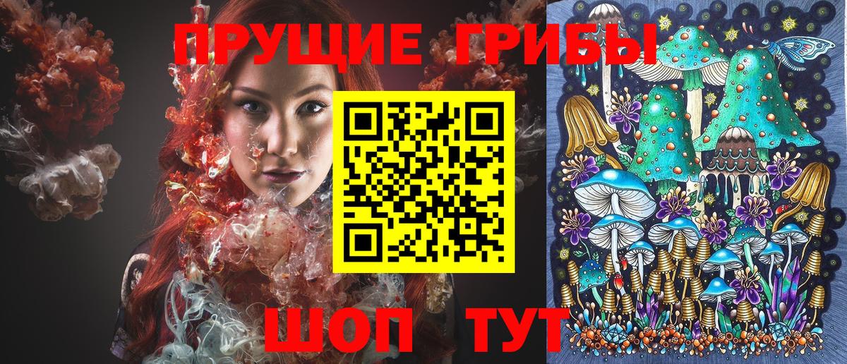 Галлюциногенные грибы ЛСД  Галлюциногенные грибы Psilocybe  Саратов  Вход с VPN 