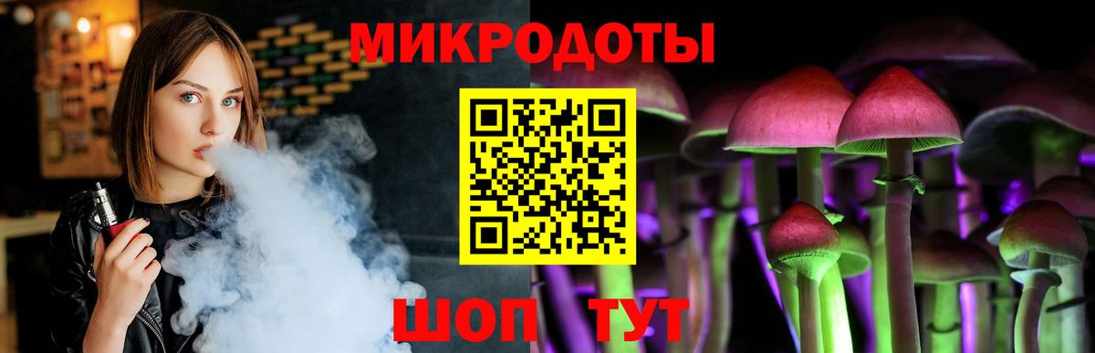 Псилоцибиновые грибы Psilocybe Саратов